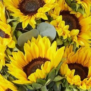 Meet your Posher, Zoe